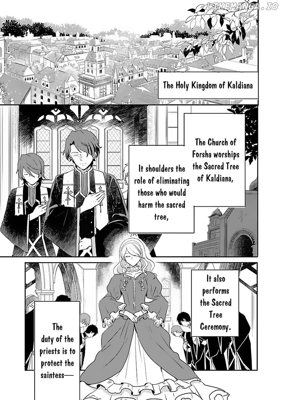 Gyakutaisarete Ita Shouka no Reijou wa Seijo no Chikara wo Te ni Ire, Mujikaku ni Youshanaku Gyakushuu suru Chapter 2 page 6