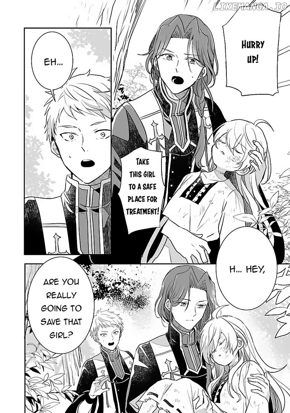 Gyakutaisarete Ita Shouka no Reijou wa Seijo no Chikara wo Te ni Ire, Mujikaku ni Youshanaku Gyakushuu suru Chapter 2 page 15