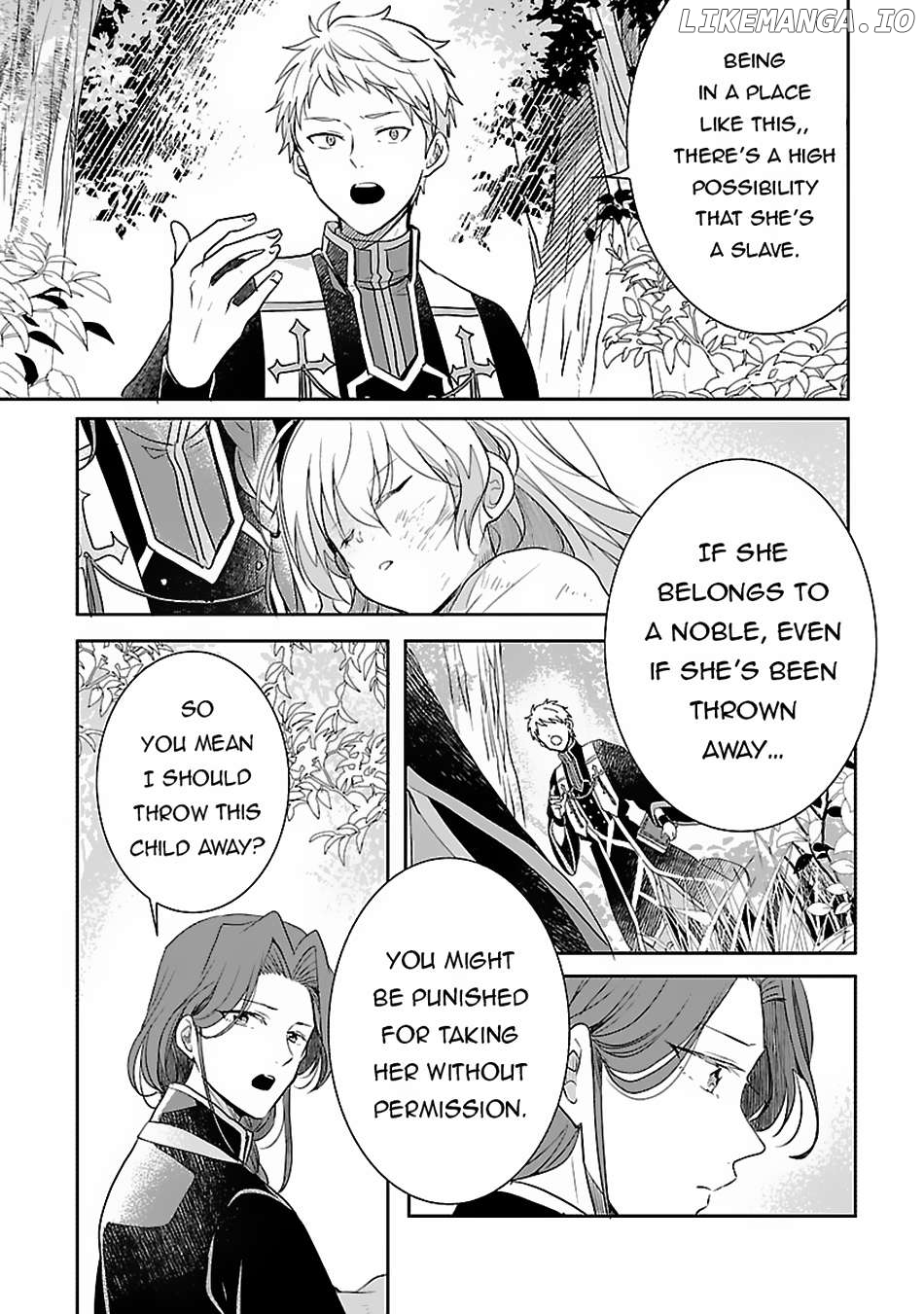 Gyakutaisarete Ita Shouka no Reijou wa Seijo no Chikara wo Te ni Ire, Mujikaku ni Youshanaku Gyakushuu suru Chapter 2 page 16