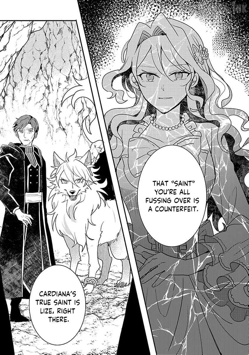 Gyakutaisarete Ita Shouka no Reijou wa Seijo no Chikara wo Te ni Ire, Mujikaku ni Youshanaku Gyakushuu suru Chapter 20 page 30