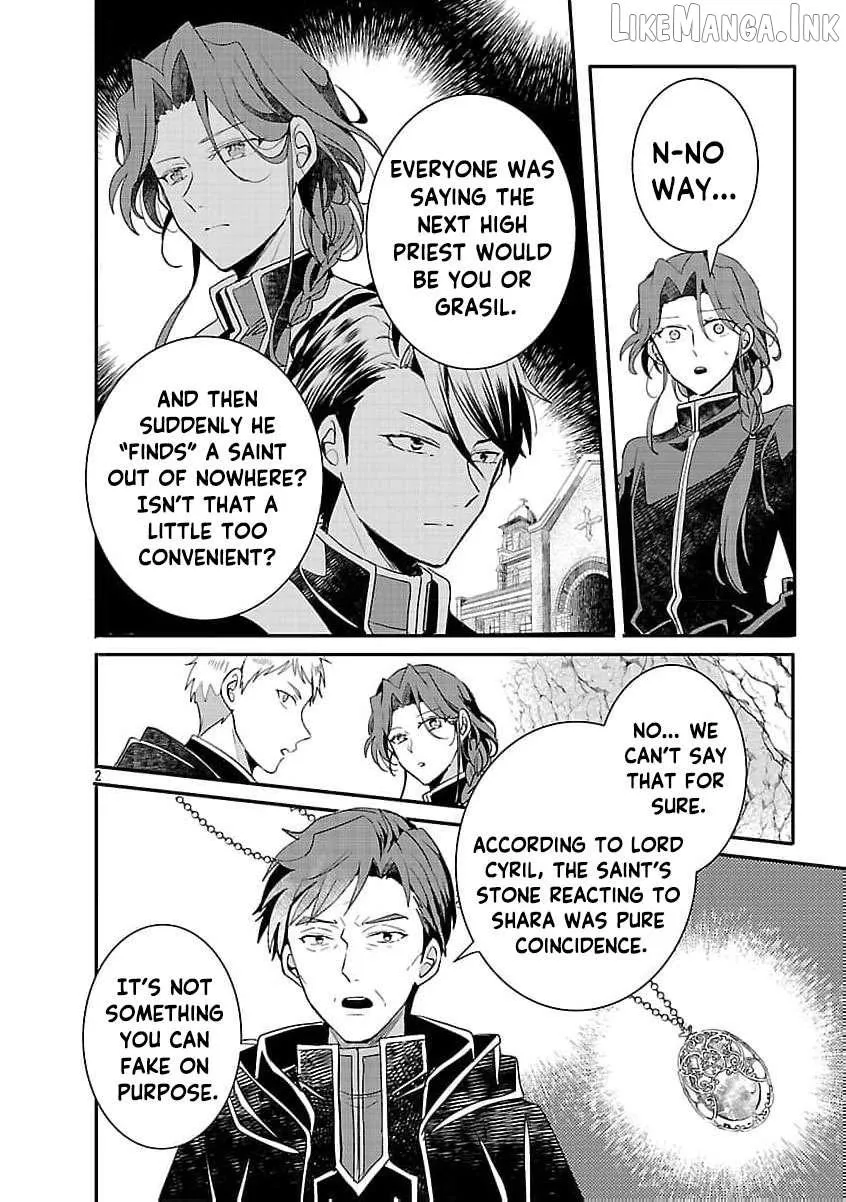 Gyakutaisarete Ita Shouka no Reijou wa Seijo no Chikara wo Te ni Ire, Mujikaku ni Youshanaku Gyakushuu suru Chapter 21 page 5