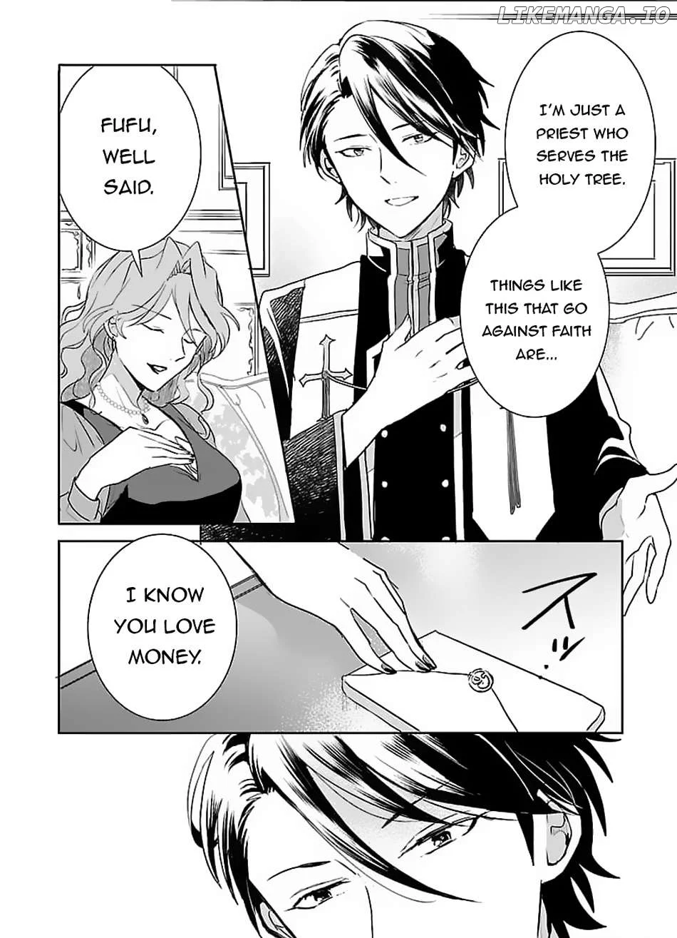 Gyakutaisarete Ita Shouka no Reijou wa Seijo no Chikara wo Te ni Ire, Mujikaku ni Youshanaku Gyakushuu suru Chapter 4 page 27