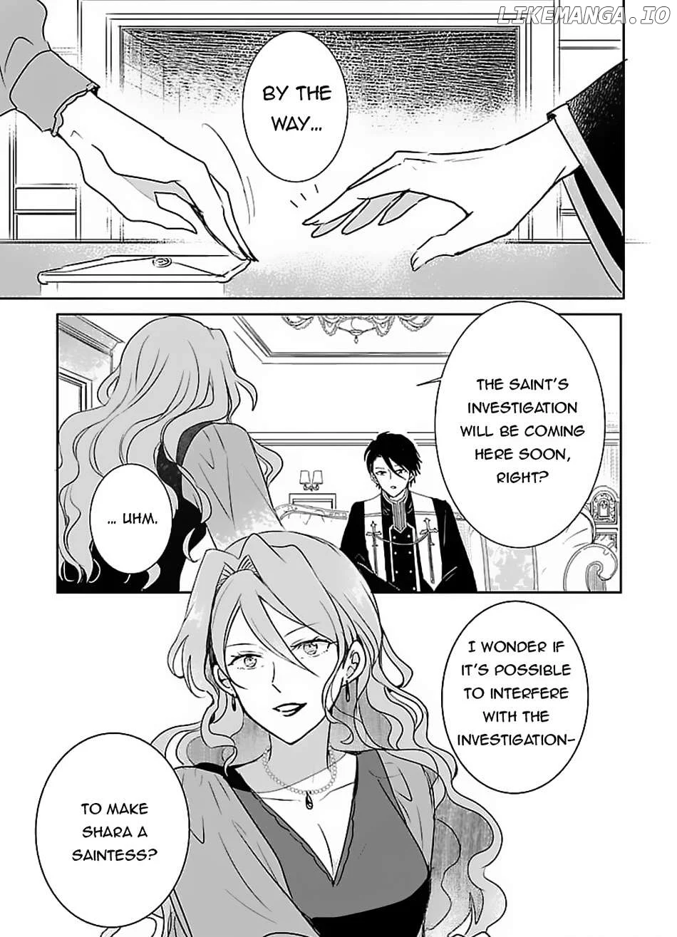Gyakutaisarete Ita Shouka no Reijou wa Seijo no Chikara wo Te ni Ire, Mujikaku ni Youshanaku Gyakushuu suru Chapter 4 page 28