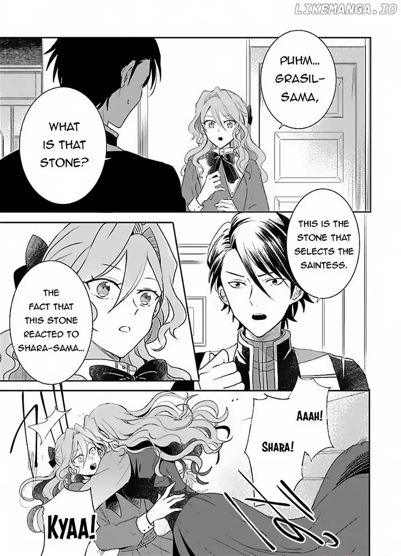 Gyakutaisarete Ita Shouka no Reijou wa Seijo no Chikara wo Te ni Ire, Mujikaku ni Youshanaku Gyakushuu suru Chapter 5 page 6