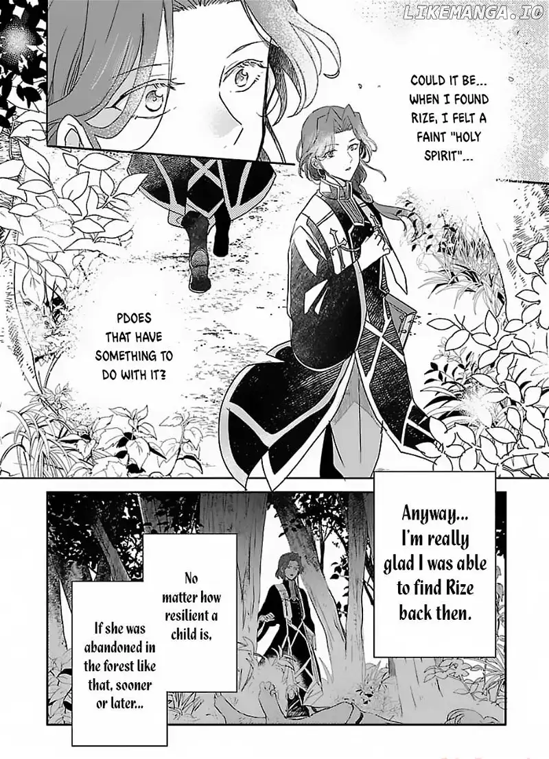 Gyakutaisarete Ita Shouka no Reijou wa Seijo no Chikara wo Te ni Ire, Mujikaku ni Youshanaku Gyakushuu suru Chapter 5 page 27