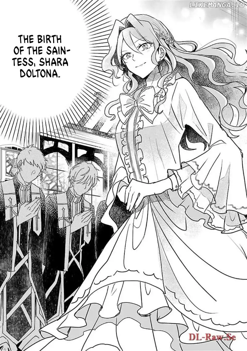 Gyakutaisarete Ita Shouka no Reijou wa Seijo no Chikara wo Te ni Ire, Mujikaku ni Youshanaku Gyakushuu suru Chapter 7 page 22