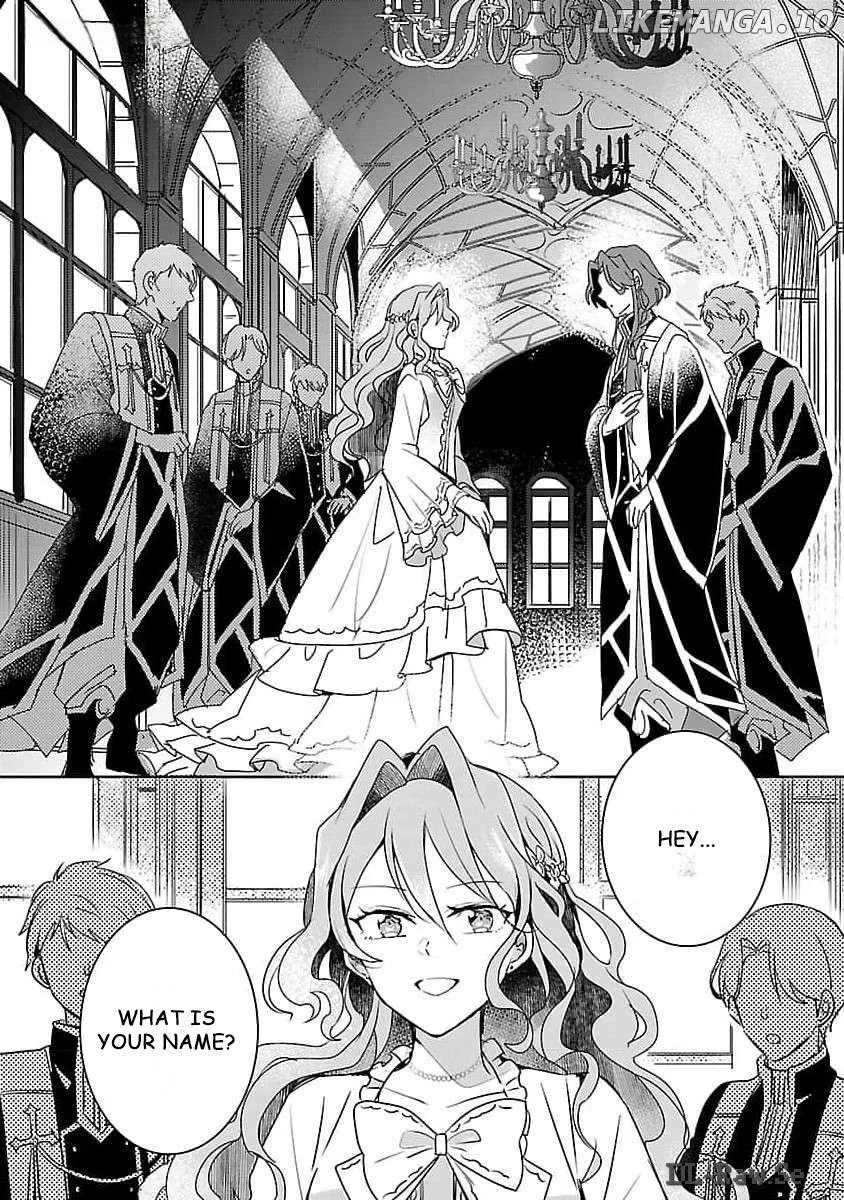 Gyakutaisarete Ita Shouka no Reijou wa Seijo no Chikara wo Te ni Ire, Mujikaku ni Youshanaku Gyakushuu suru Chapter 8 page 12