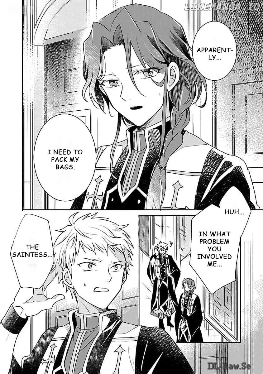 Gyakutaisarete Ita Shouka no Reijou wa Seijo no Chikara wo Te ni Ire, Mujikaku ni Youshanaku Gyakushuu suru Chapter 8 page 15