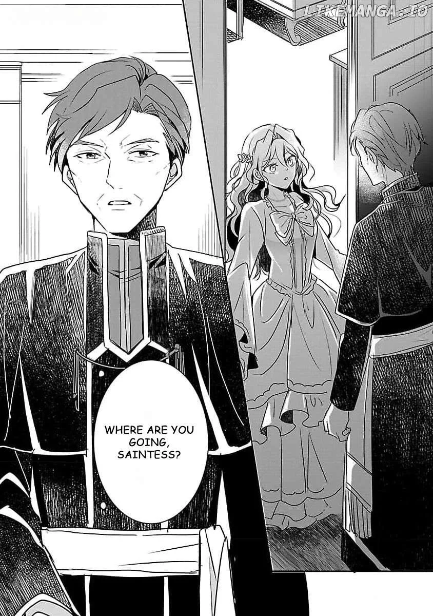Gyakutaisarete Ita Shouka no Reijou wa Seijo no Chikara wo Te ni Ire, Mujikaku ni Youshanaku Gyakushuu suru Chapter 8 page 19