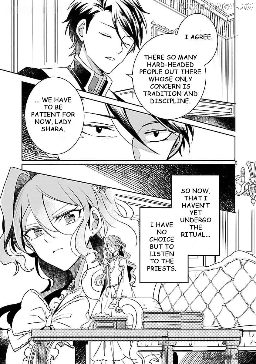 Gyakutaisarete Ita Shouka no Reijou wa Seijo no Chikara wo Te ni Ire, Mujikaku ni Youshanaku Gyakushuu suru Chapter 8 page 26