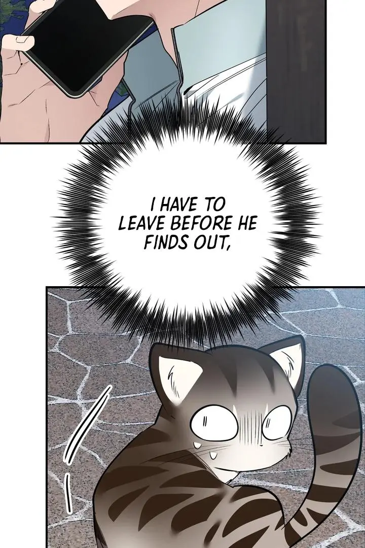 Heat Stroke Chapter 12 page 25