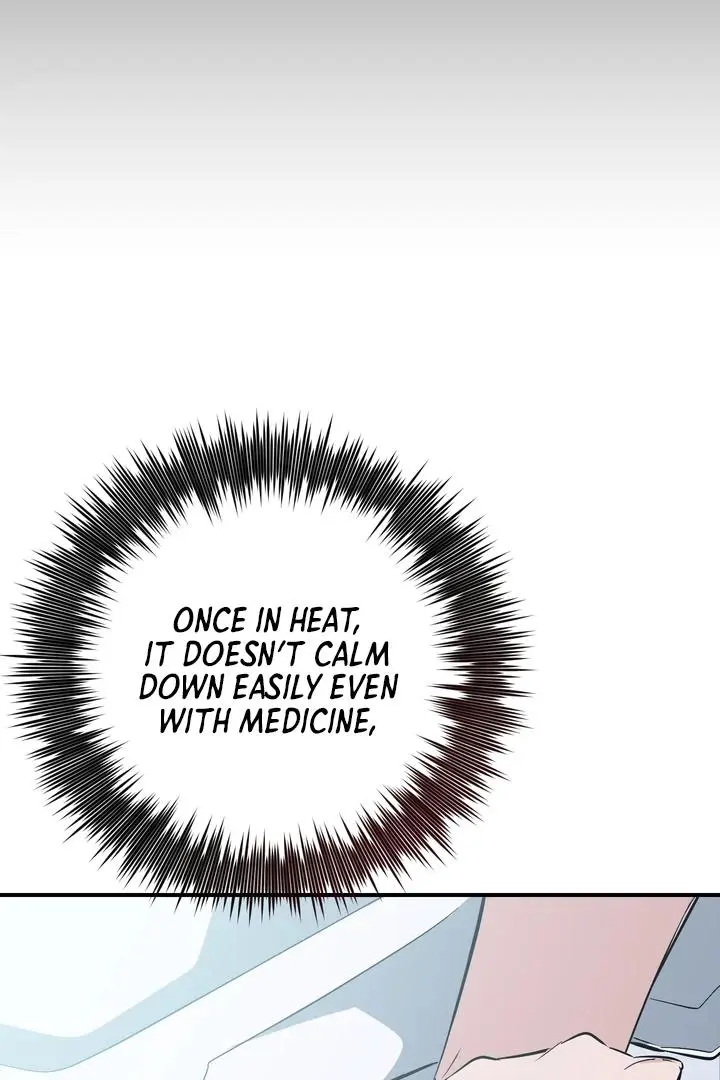 Heat Stroke Chapter 12 page 147