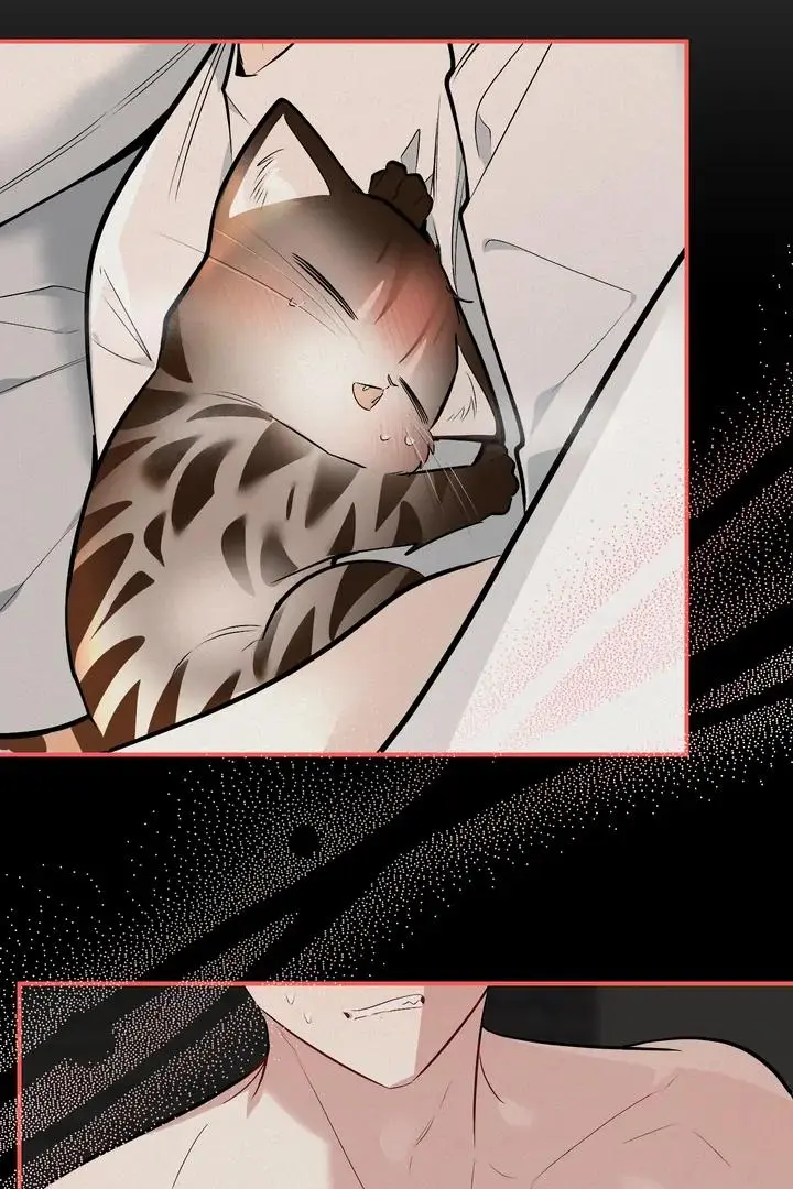 Heat Stroke Chapter 16 page 11