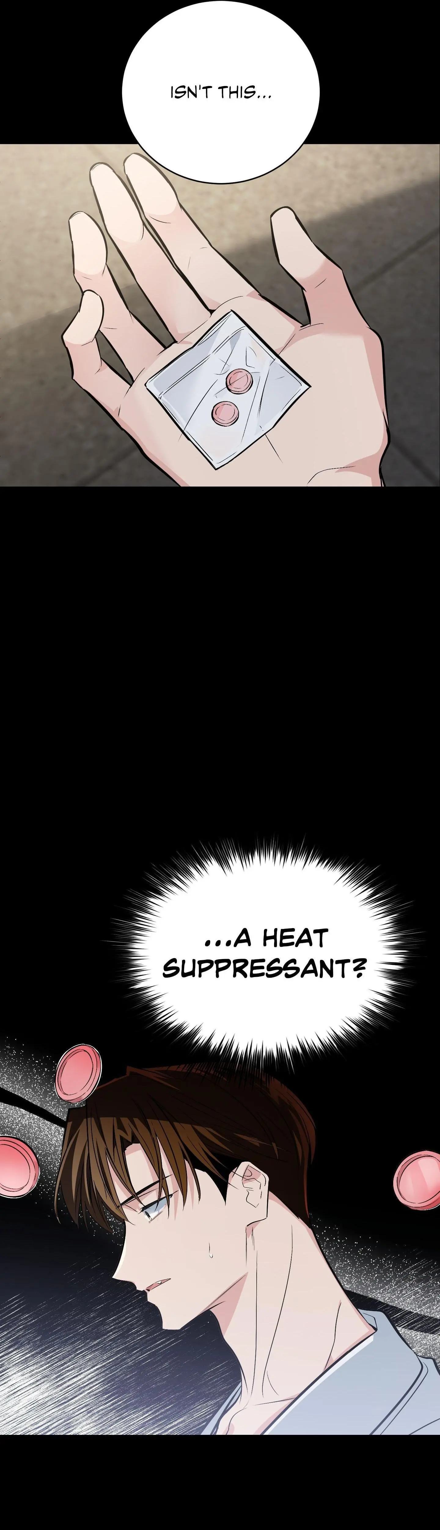 Heat Stroke Chapter 23 page 41