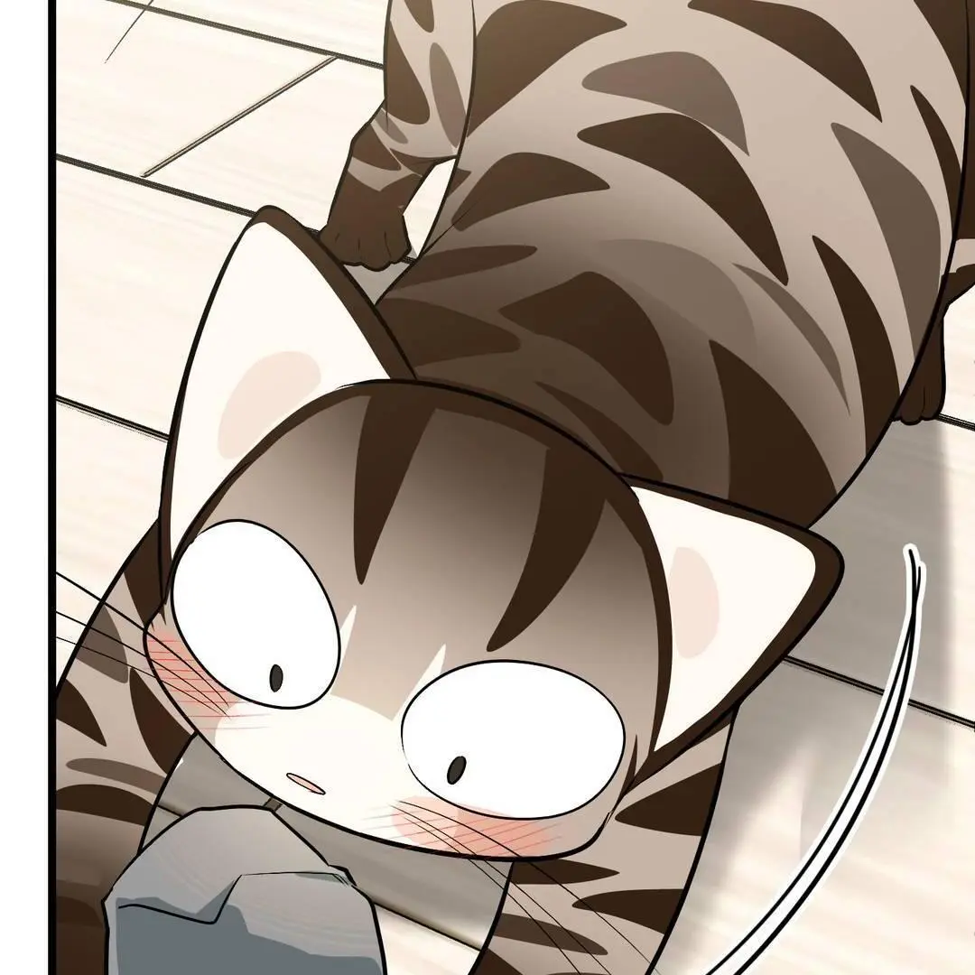 Heat Stroke Chapter 3 page 78