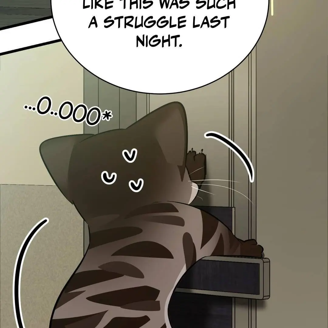 Heat Stroke Chapter 3 page 146