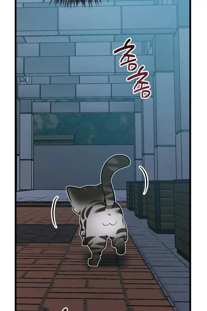 Heat Stroke Chapter 8 page 41