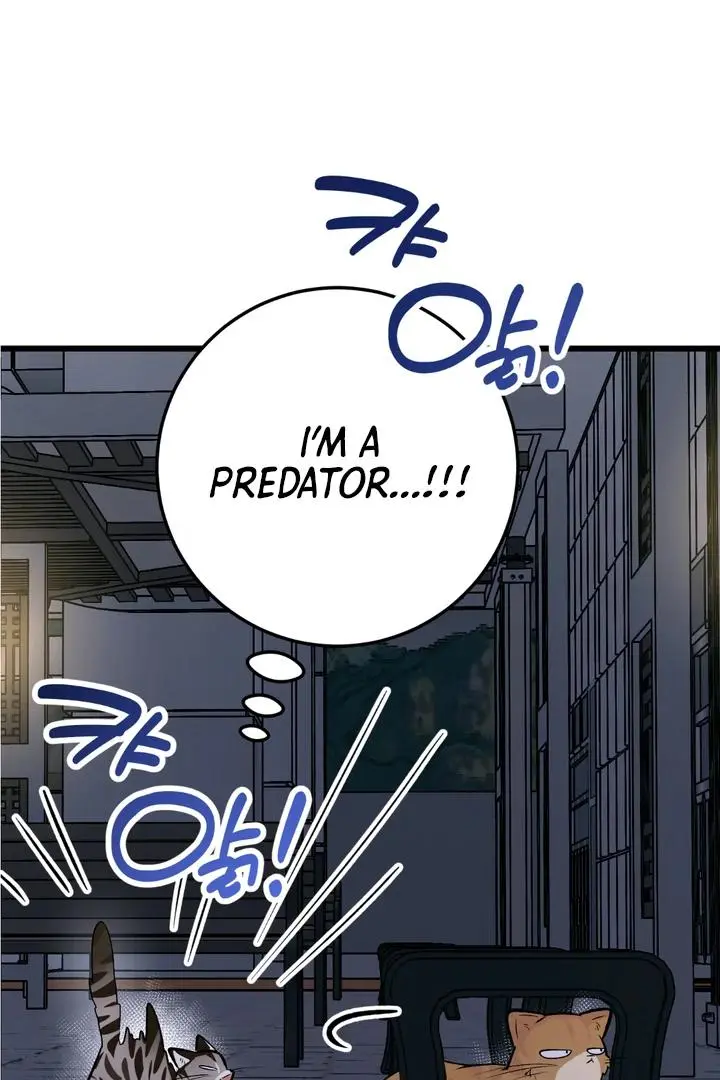 Heat Stroke Chapter 8 page 51