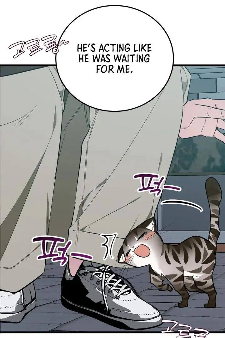 Heat Stroke Chapter 8 page 60