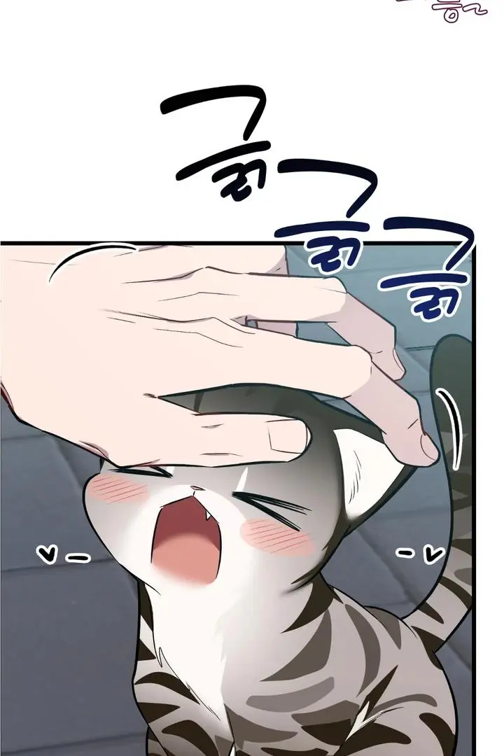 Heat Stroke Chapter 8 page 61