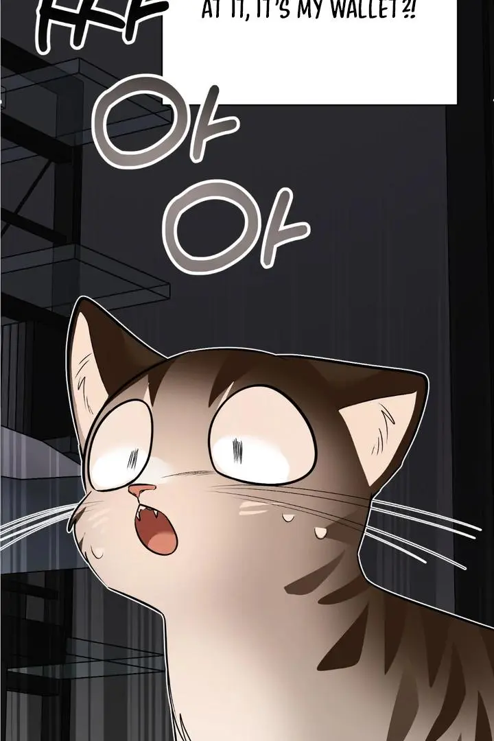 Heat Stroke Chapter 8 page 80
