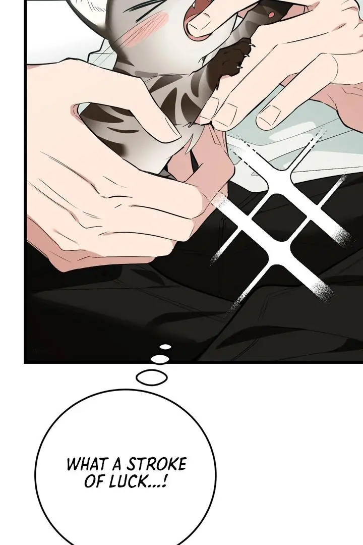 Heat Stroke Chapter 8 page 94