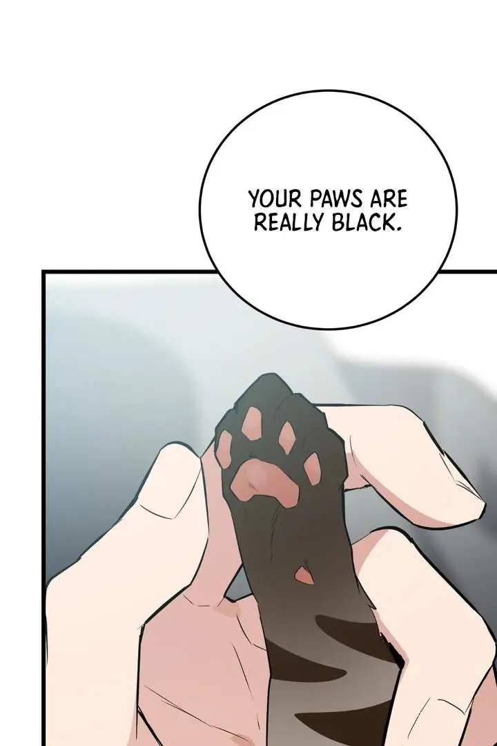 Heat Stroke Chapter 8 page 123