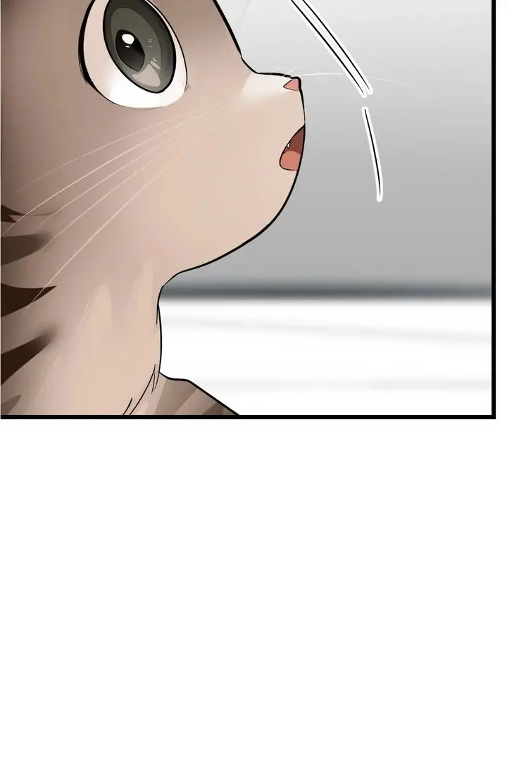 Heat Stroke Chapter 8 page 132