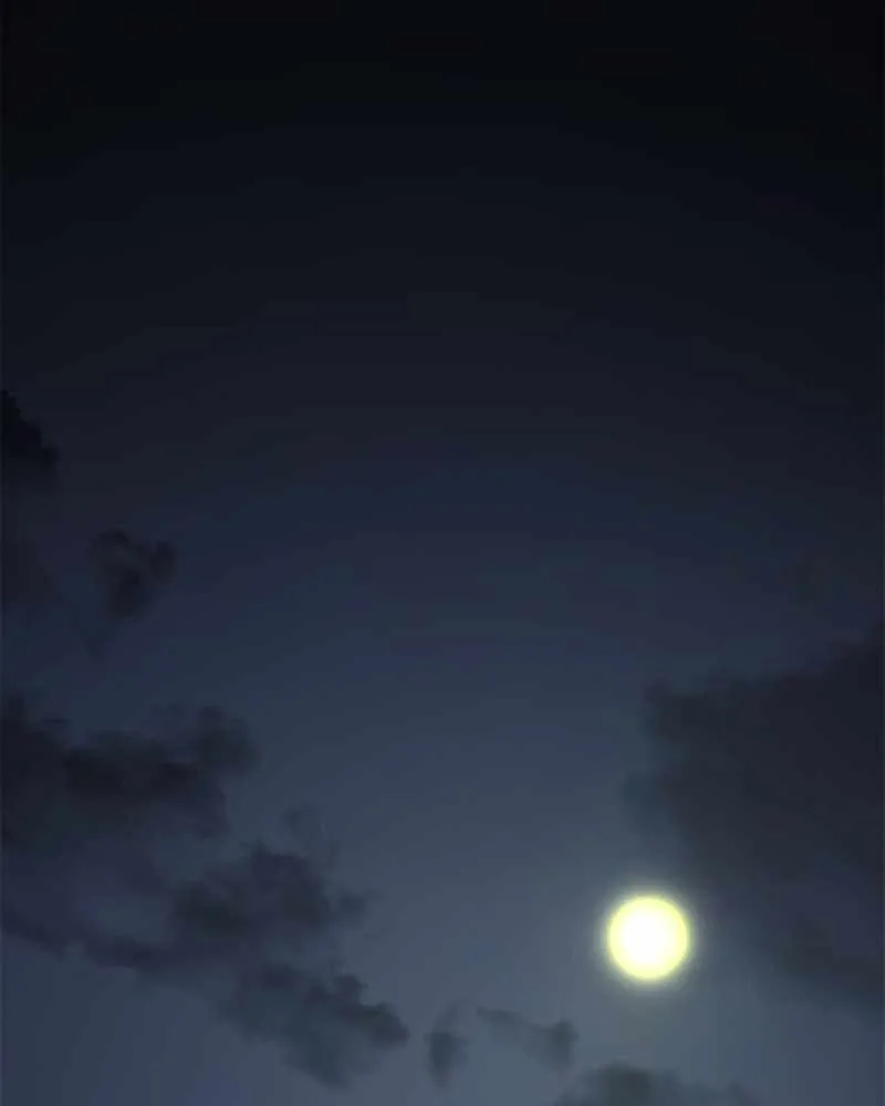 Hero Killer Chapter 69 page 119