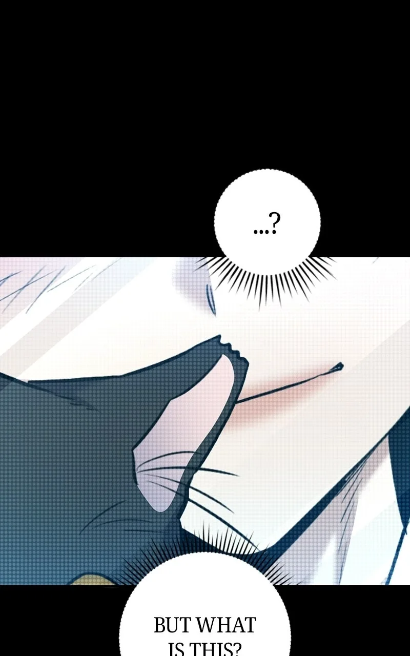 High school queen Chapter 95 page 146