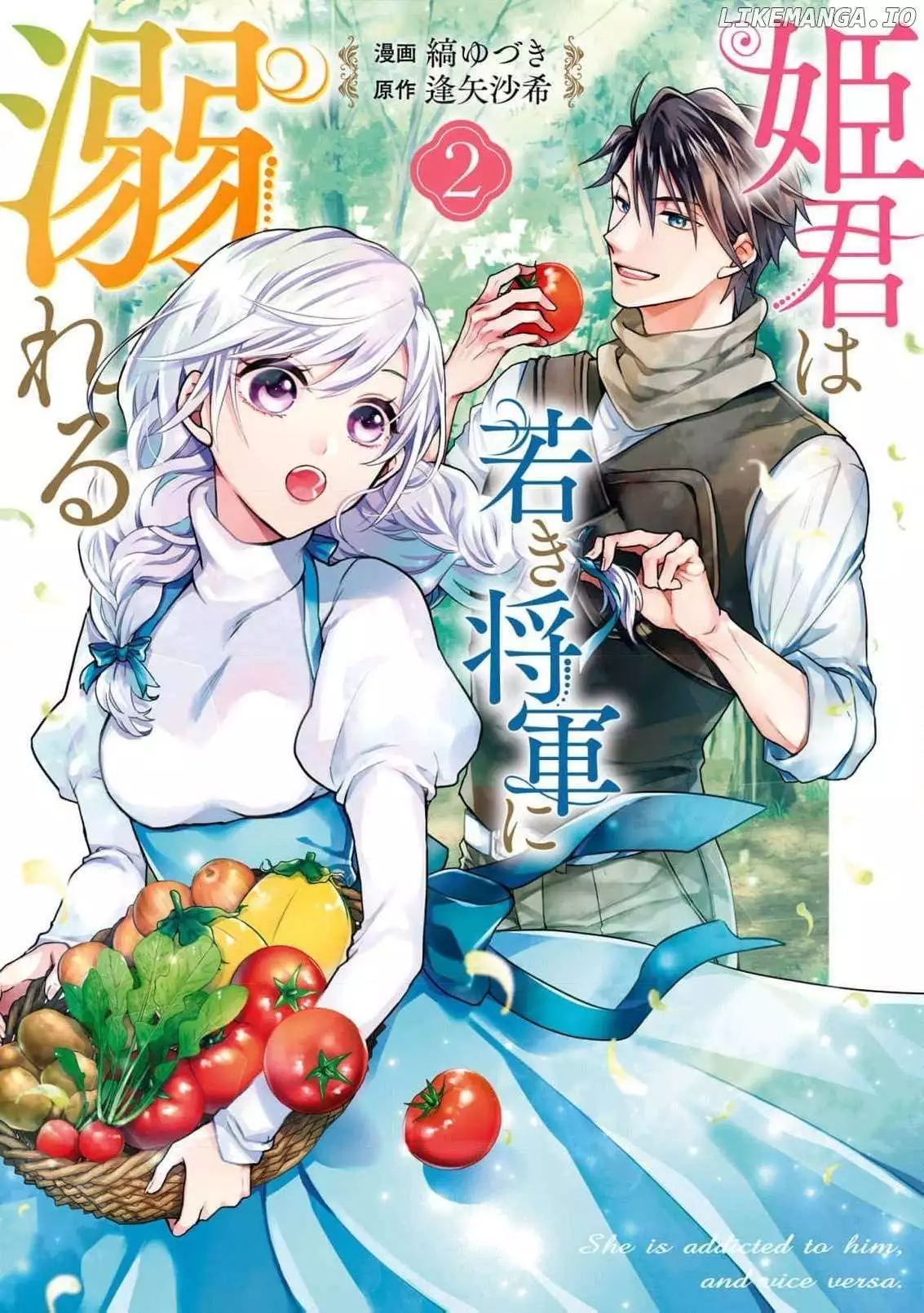 Himegimi wa Wakaki Shougun ni Oboreru Chapter 11 page 2