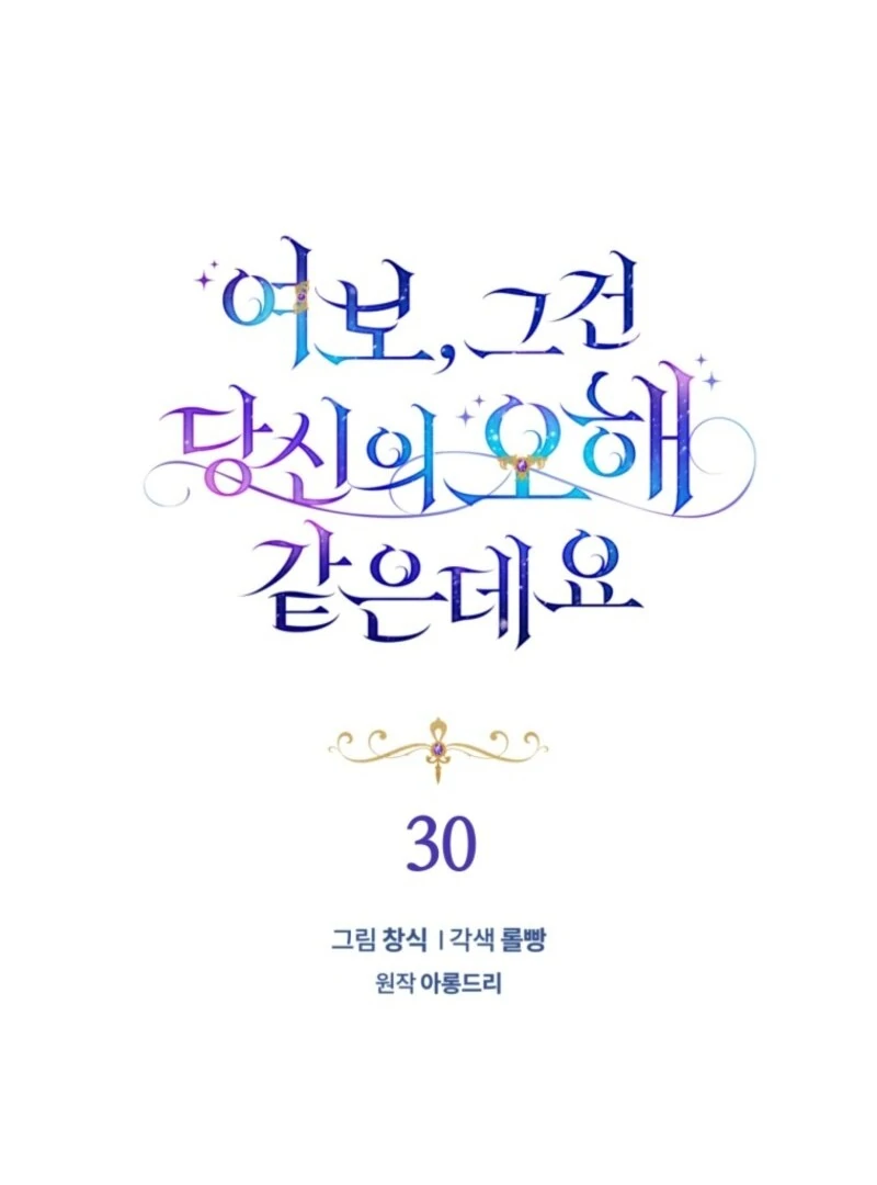 Honey, I Think That’s a Misunderstanding Chapter 30 page 29