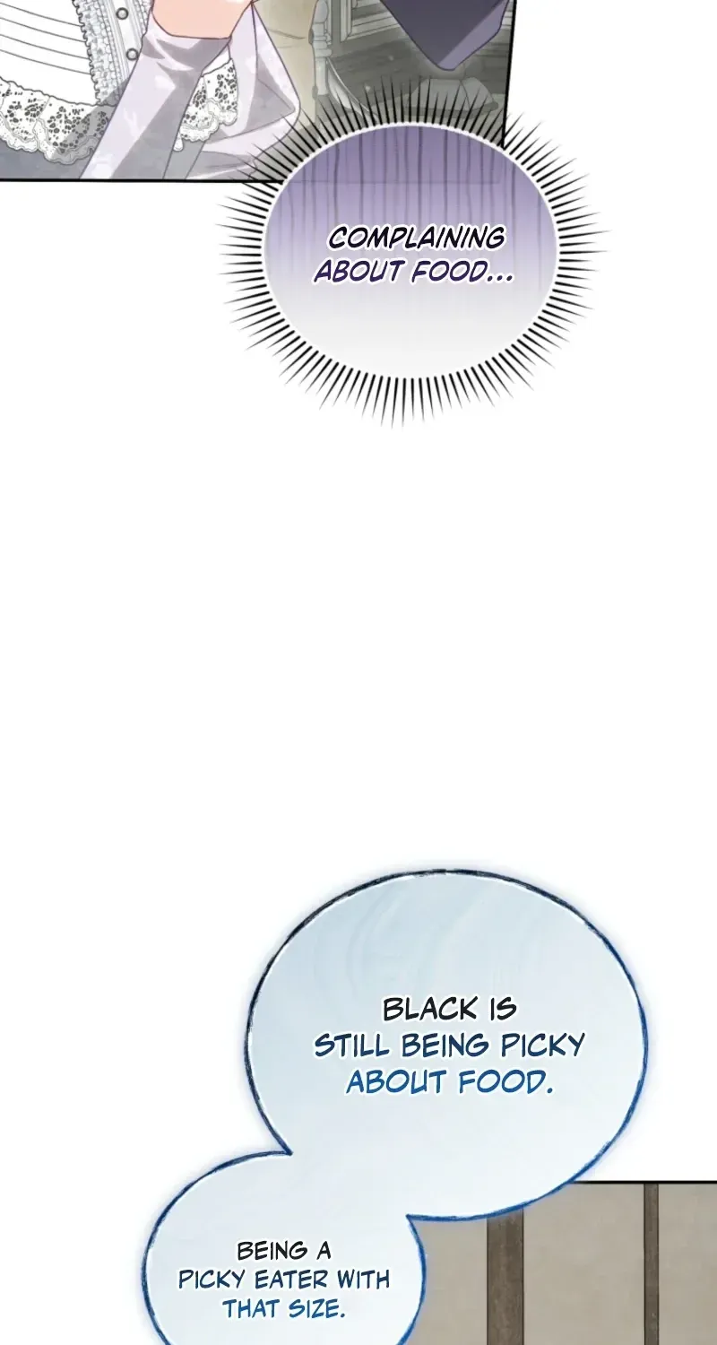 Honey, I Think That’s a Misunderstanding Chapter 60 page 41