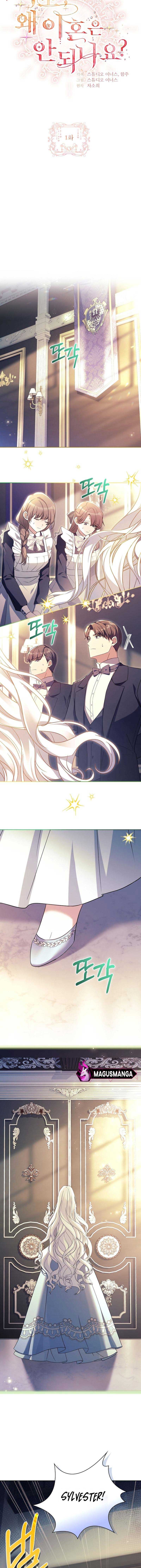 Honey, Why Can’t We Get A Divorce? Chapter 1 page 4