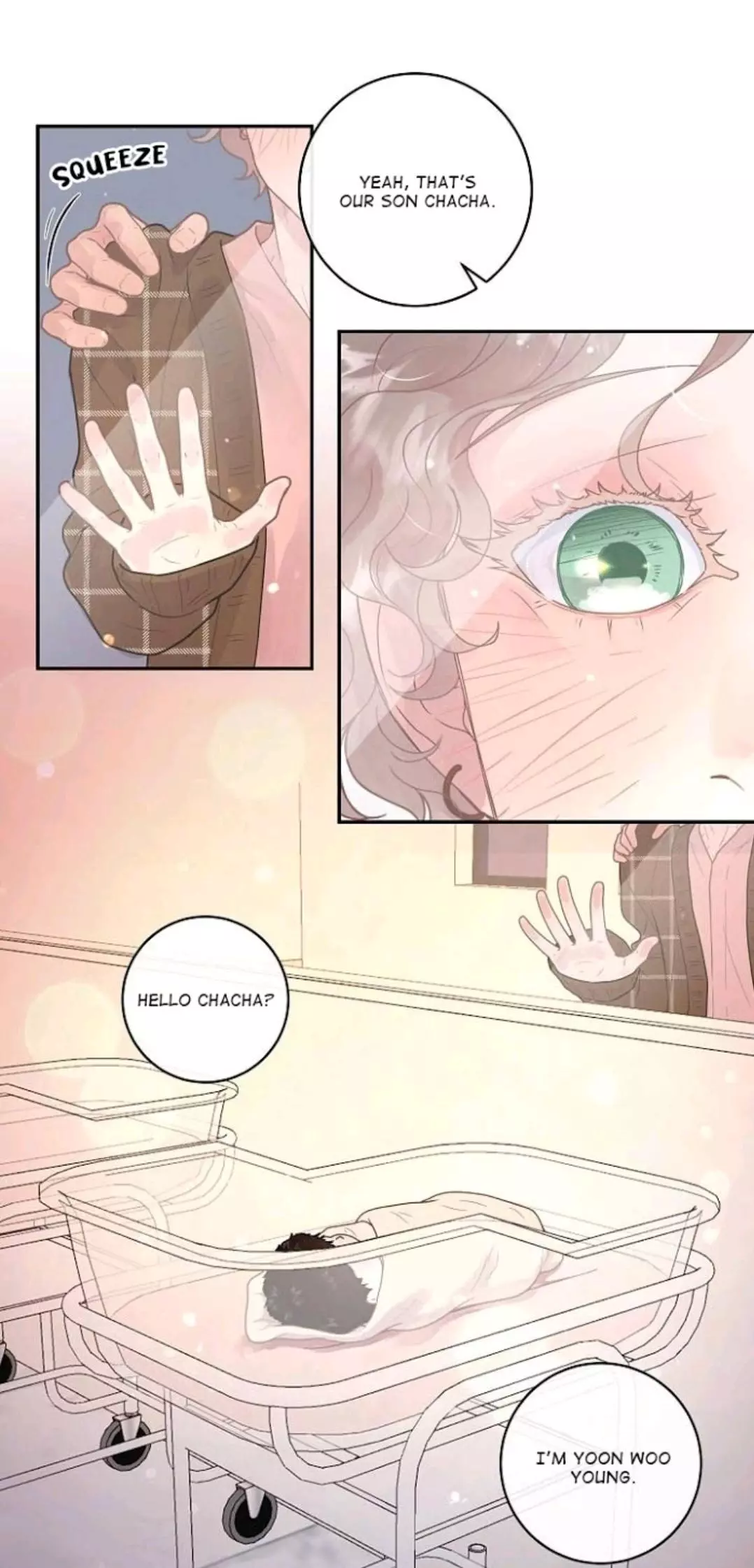 How to Chase an Alpha Chapter 78 page 17