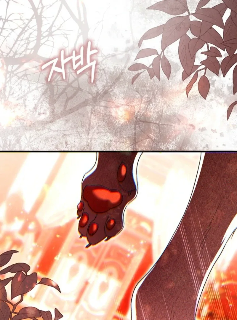 How to Reject a Perfect Marriage Chapter 36 page 69