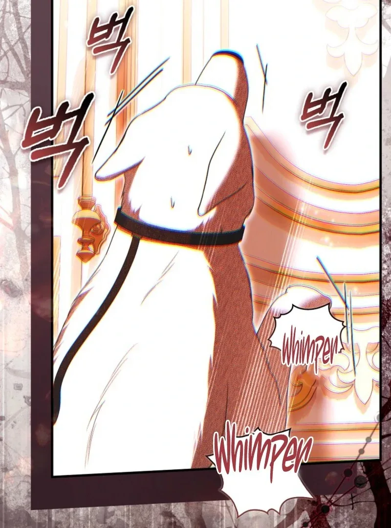 How to Reject a Perfect Marriage Chapter 36 page 71