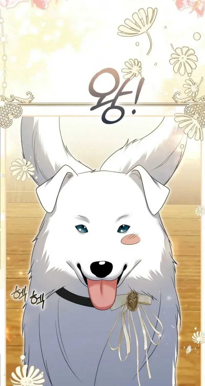 How to Reject a Perfect Marriage Chapter 48 page 62