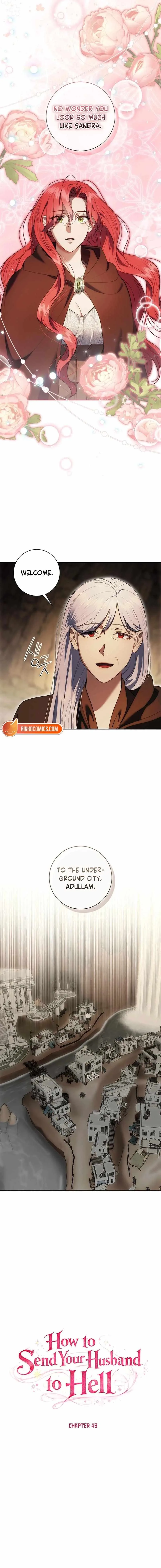How to Send My Husband to the Abyss Chapter 45 page 2