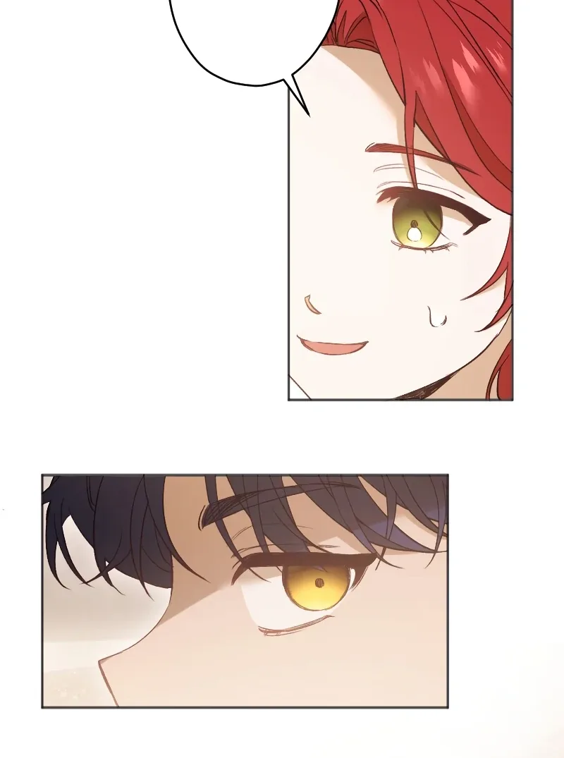 How to Turn a Gentle Male Lead Into an Obsessive Male Lead Chapter 2 page 15