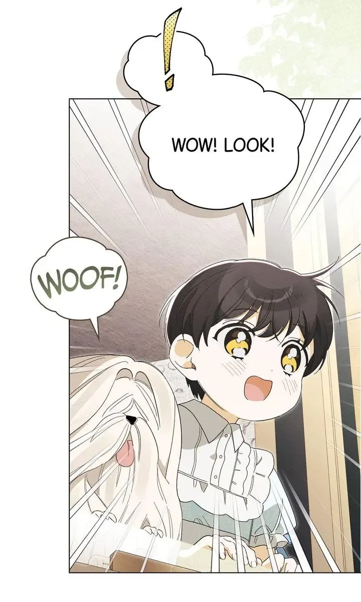 I Am Being Chased by My Husband Chapter 37 page 49