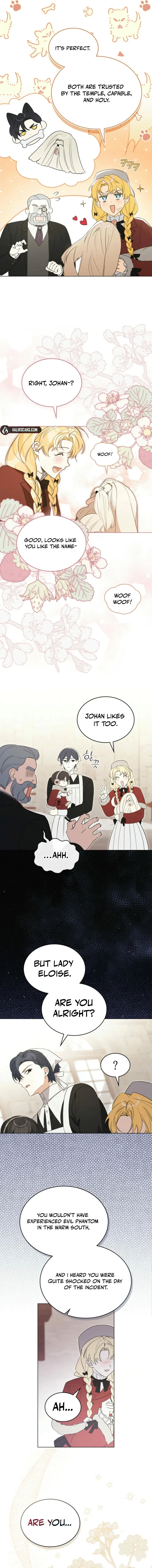 I Am Being Chased by My Husband Chapter 8 page 11