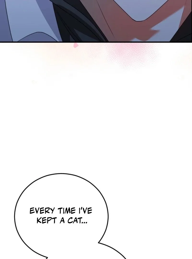 I Am in the Same Class as the Crazy Male Leads Chapter 43 page 37