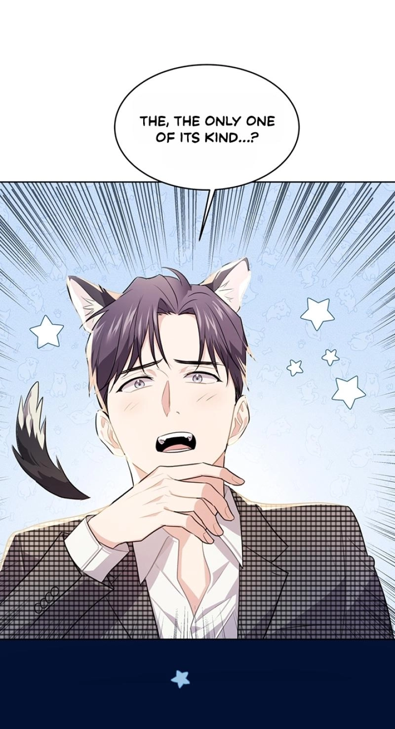 I Became a Millionaire's daughter Chapter 54 page 41