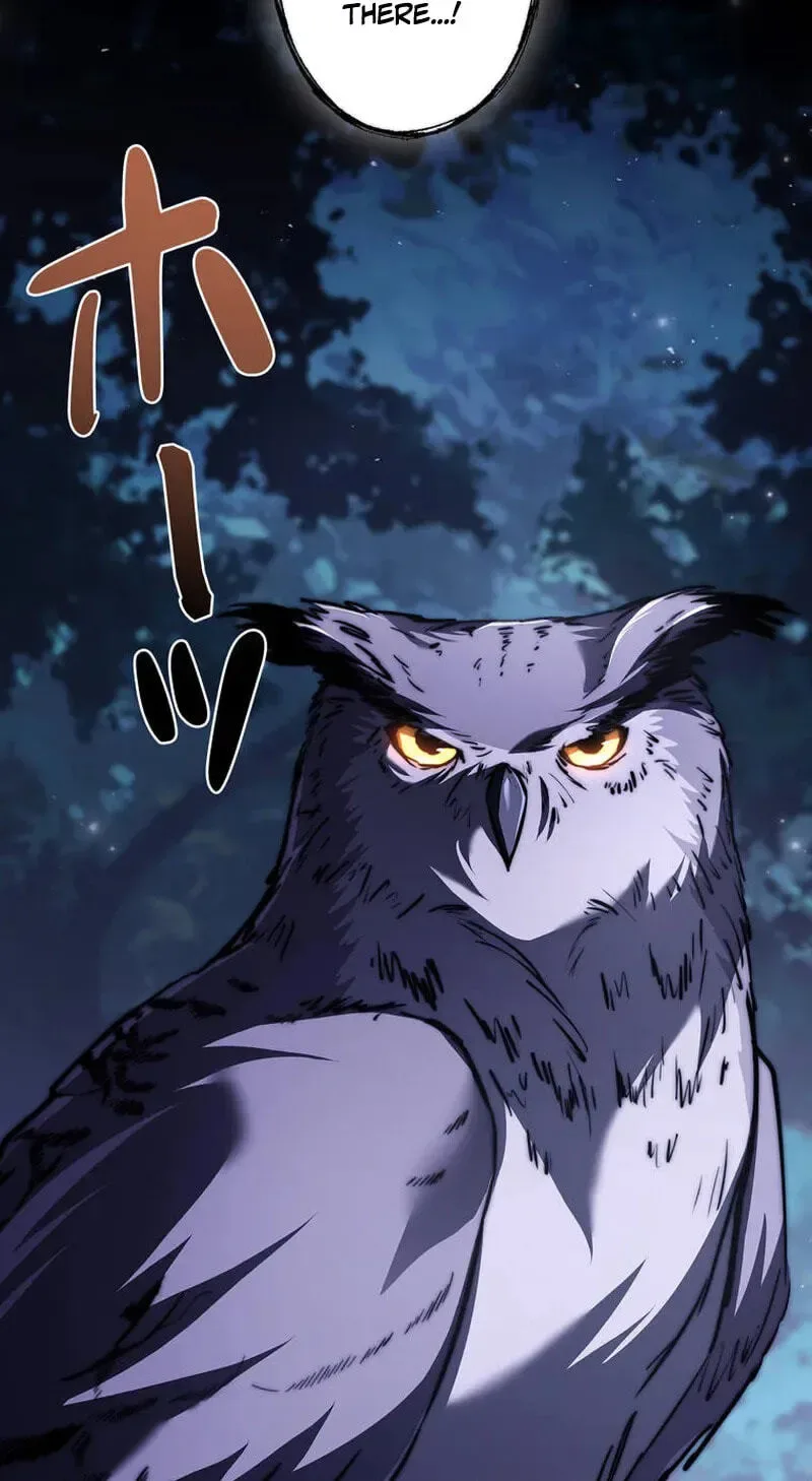 I Became a Wizard in a Medieval Fantasy World Chapter 31 page 9