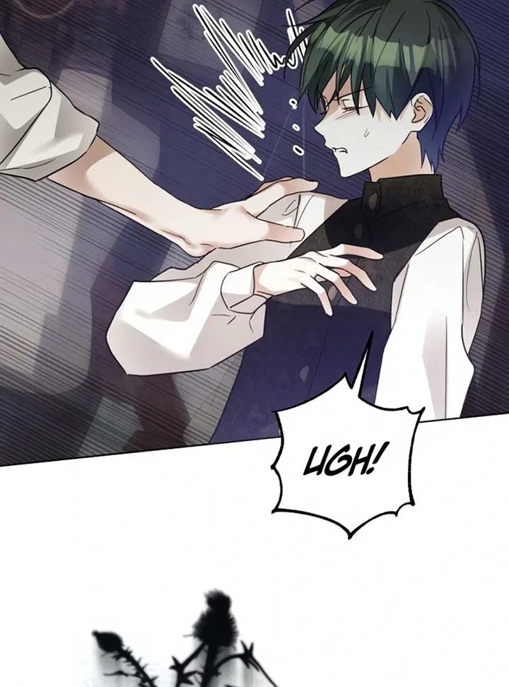 I Became The Duke’s Male Servant Chapter 45 page 27