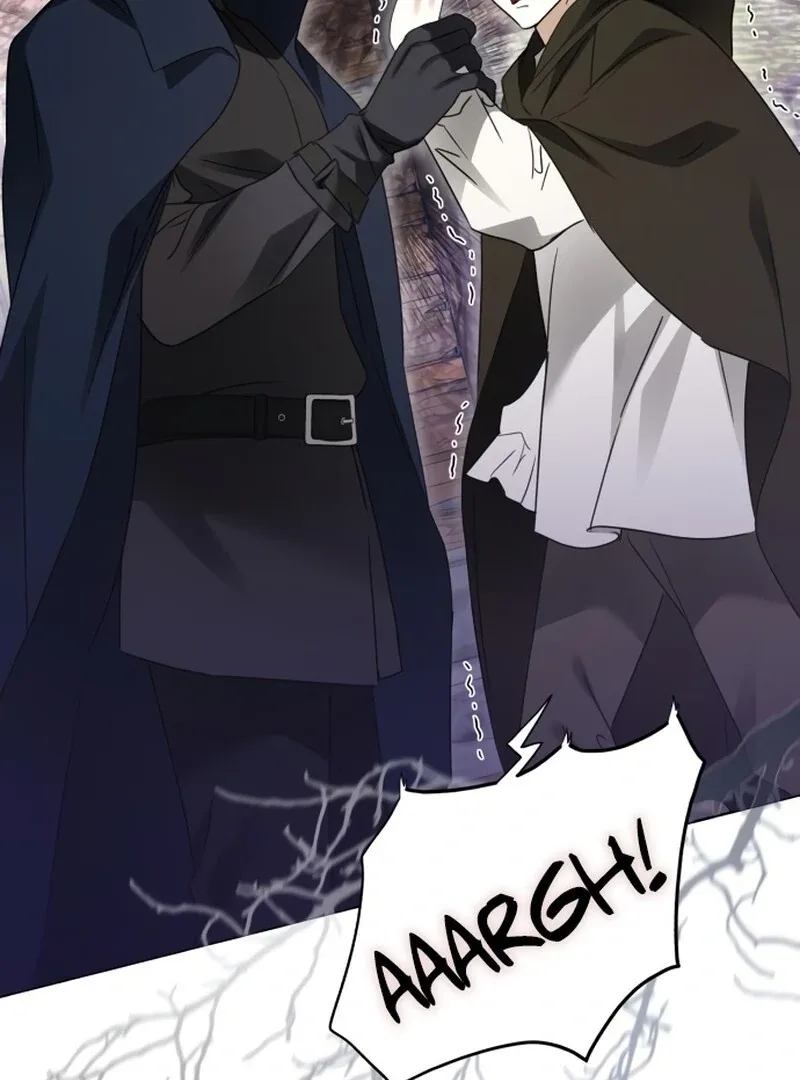 I Became The Duke’s Male Servant Chapter 48 page 101