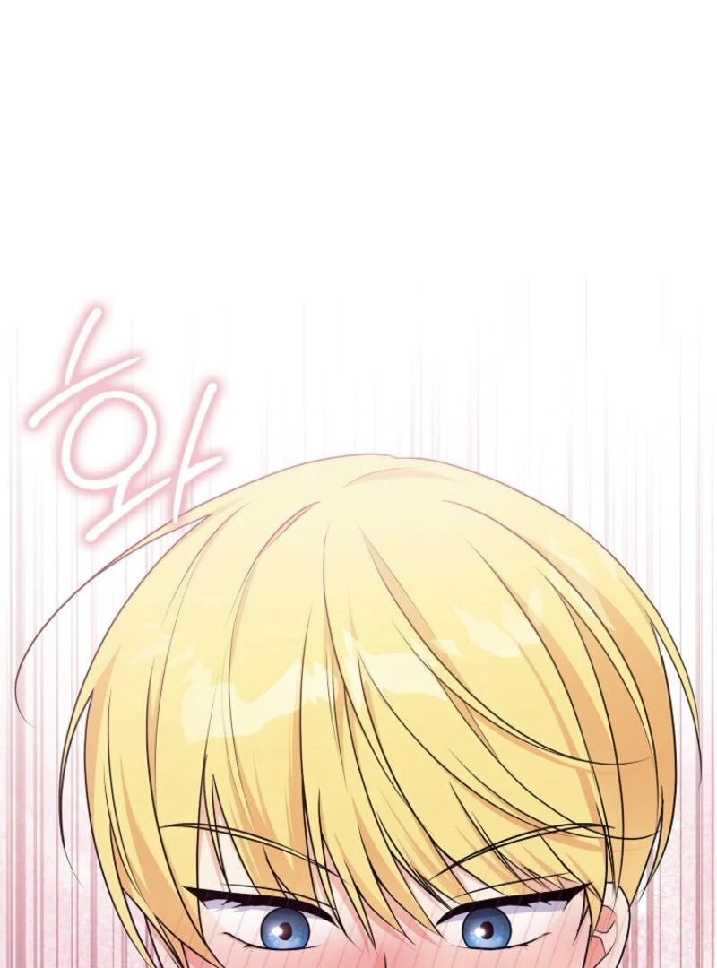 I Became The Male Leads’ Target Chapter 10 page 63