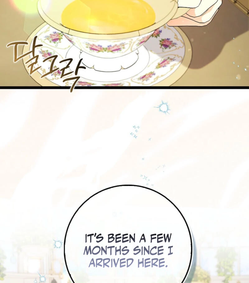 I Became The Male Leads’ Target Chapter 13 page 87