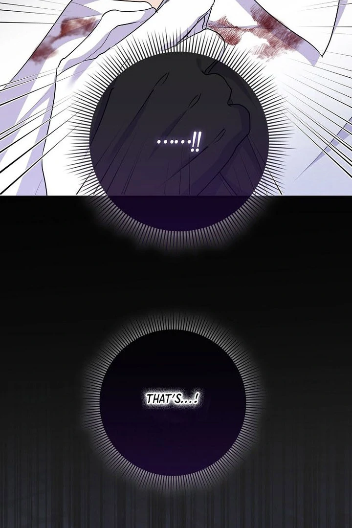 I Became The Male Leads’ Target Chapter 16 page 111